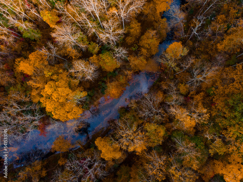 Patapsco state park drone photo from birds eye with fall foliage. © Jacob