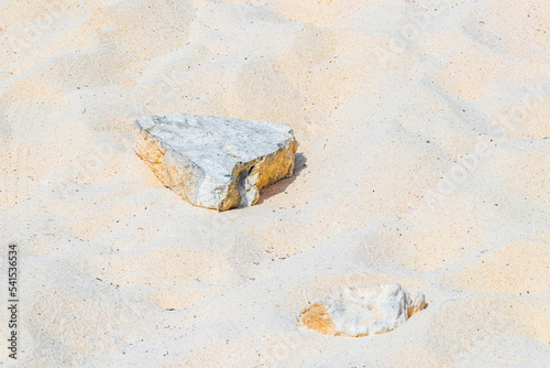 Stones shells corals on beach sand Playa del Carmen Mexico.