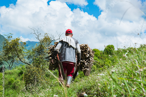 peasant muleteer walking with his mule loaded with sugar cane on top of a Colombian mountain, carrying the cane to the sugar mill to begin the process of panela production. photo