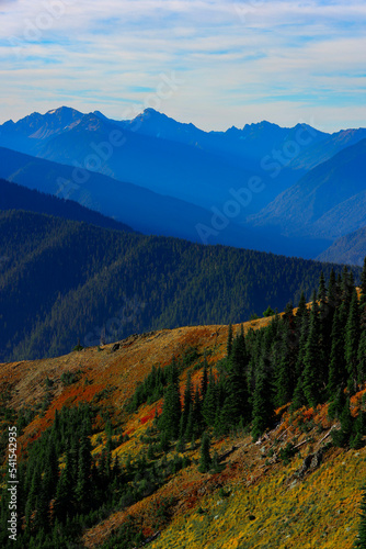 View from hurricane ridge in Washington state