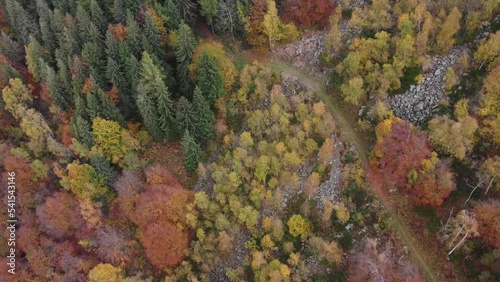 Trail in Foliage, oasi zegna, italy photo