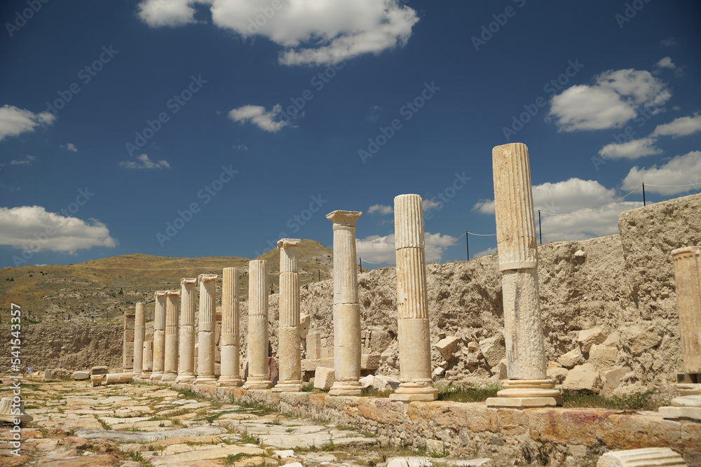 Fototapeta premium Tripolis on the Meander Ancient City in Denizli, Turkiye