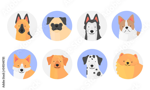 A set of round icons with dogs. A set of different dog breeds. Dog avatar icon collection. Isolated vector illustration.
