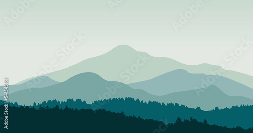 Fototapeta Naklejka Na Ścianę i Meble -  green gradation forest high mountain expanse background