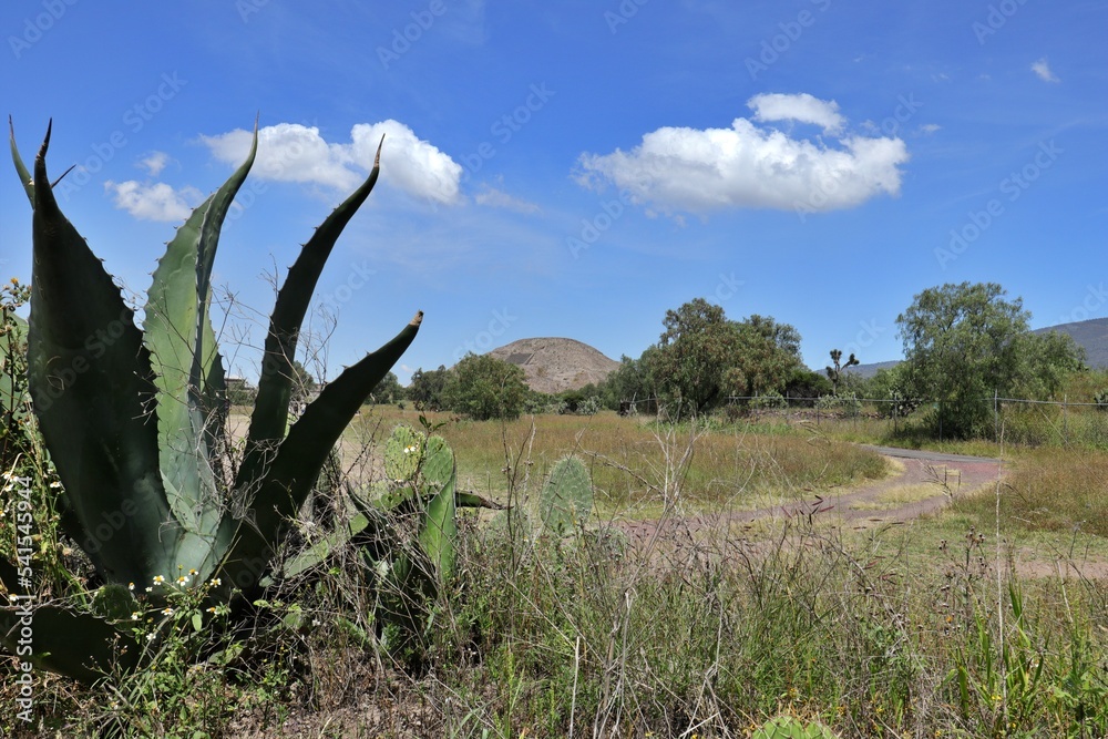 Teotihuacan Pyramid of the Moon Teotihuacan Pyramid of the Moon