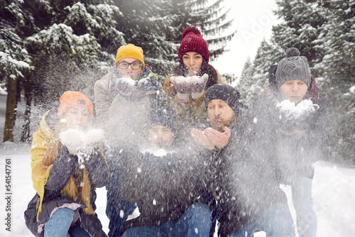 Portrait of smiling young people in outerwear walk together in snowy park, blow snow at camera. Happy friends have fun playing snowballs on inter holiday or vacation in forest.