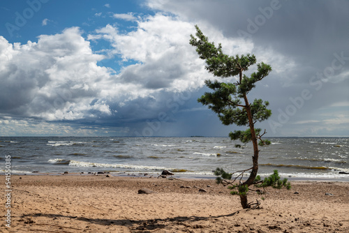 Baltic coast