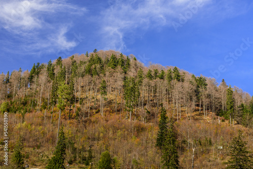 Staffn im Herbst photo