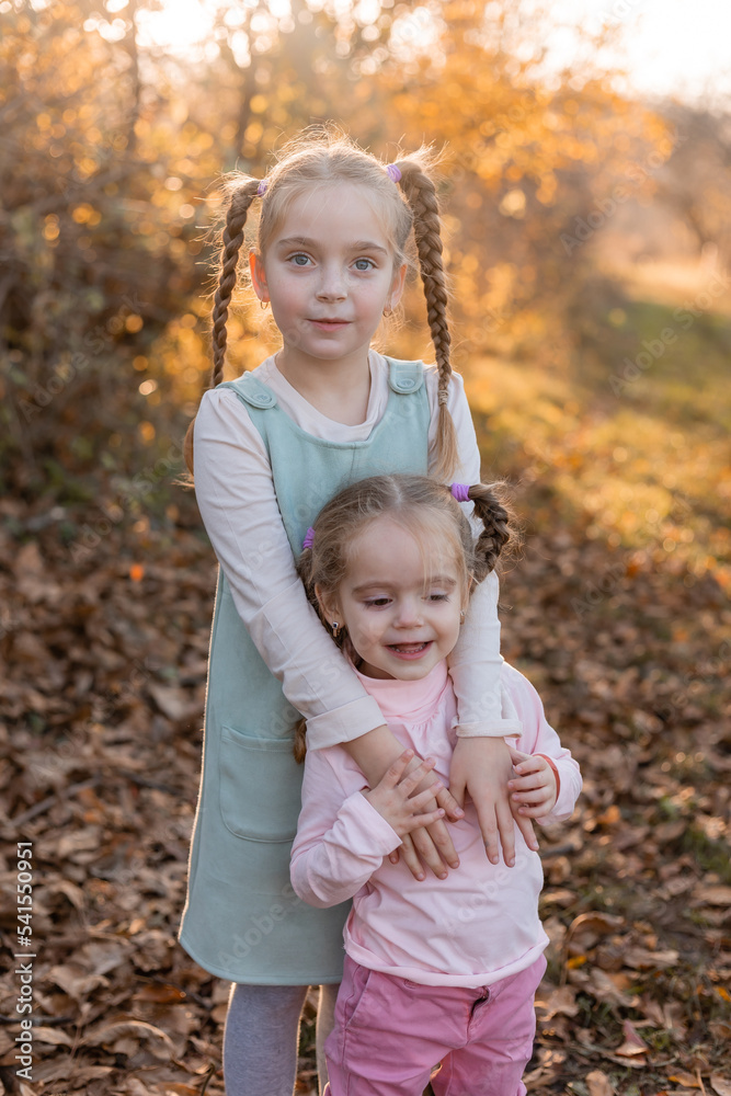 children walk, play, socialize and have fun in the autumn park on a warm sunny day, lifestyle children walk, play, socialize and have fun in the autumn park on a warm sunny day, lifestyle
