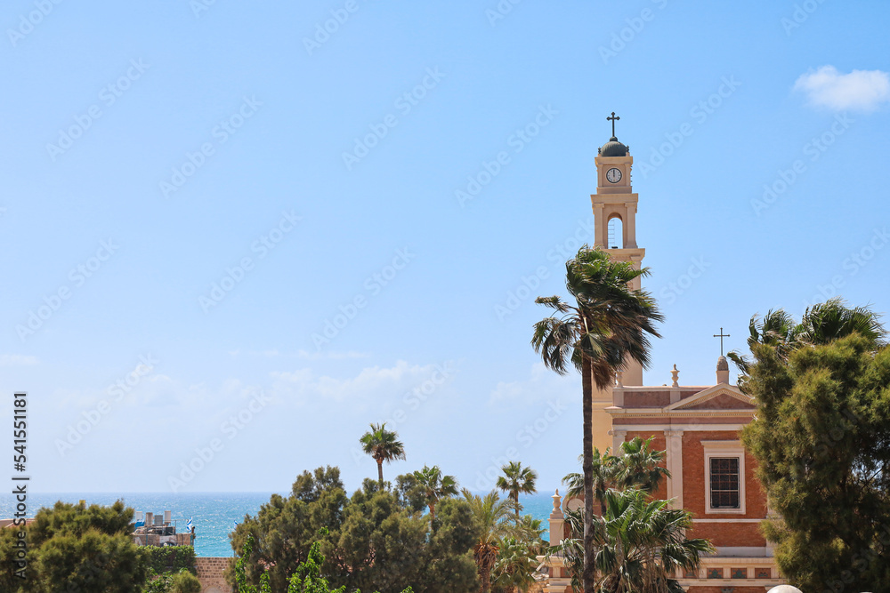 View of beautiful palm trees and church