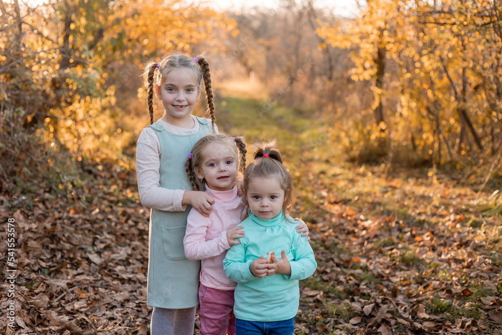 children walk, play, socialize and have fun in the autumn park on a warm sunny day, lifestyle children walk, play, socialize and have fun in the autumn park on a warm sunny day, lifestyle