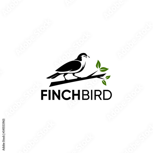 Bullfinch logo design