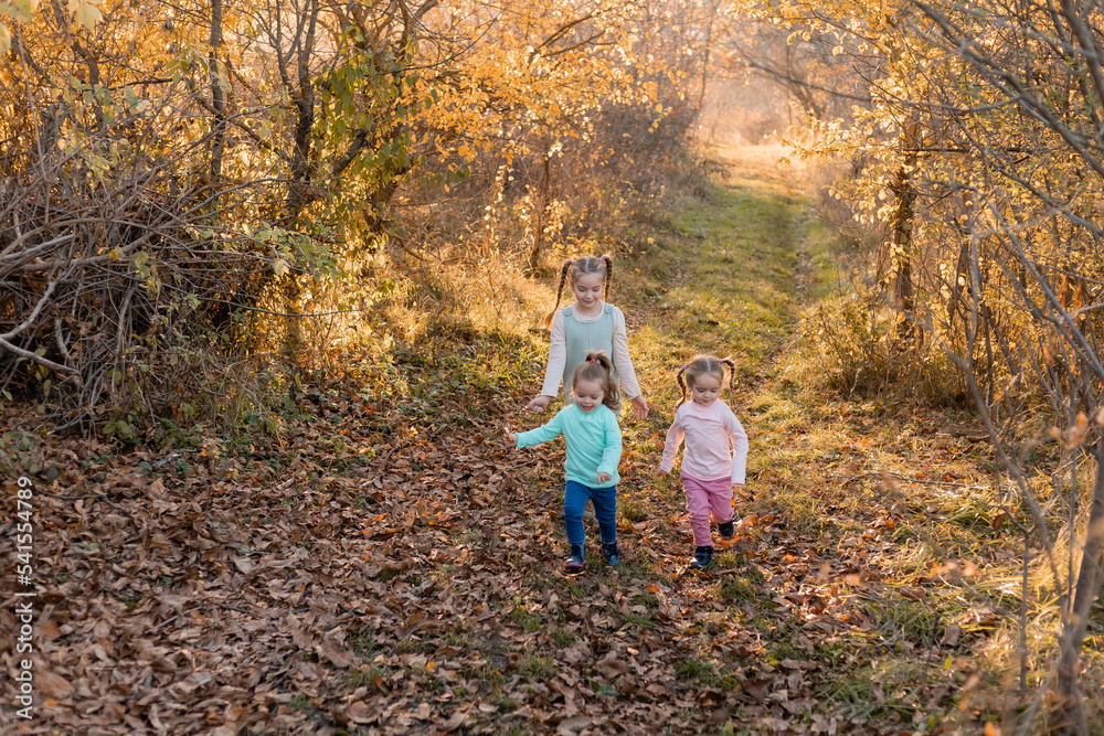 Fototapeta premium children walk, play, socialize and have fun in the autumn park on a warm sunny day, lifestyle