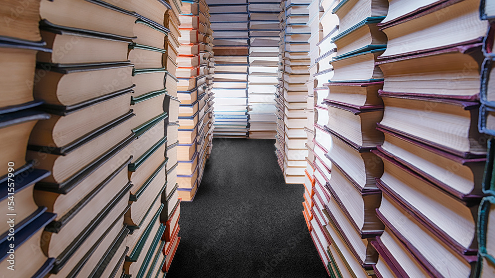 Stacks of books in the form of a long corridor