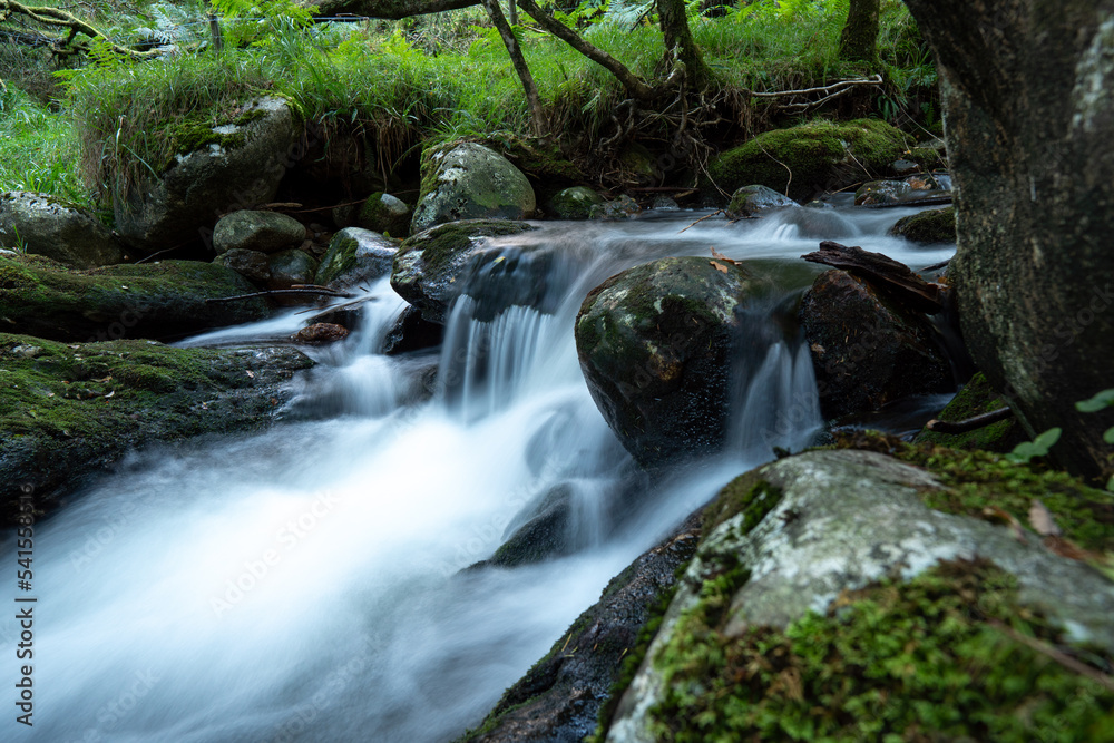 Fototapeta premium Small waterfall in the forest after the rain