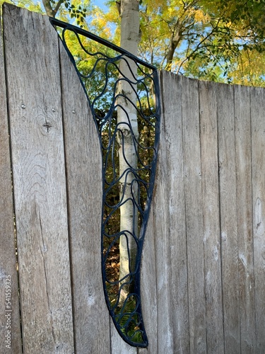 wooden fence with a beautiful forged ornament. A Himalayan birch is visible through the fence photo