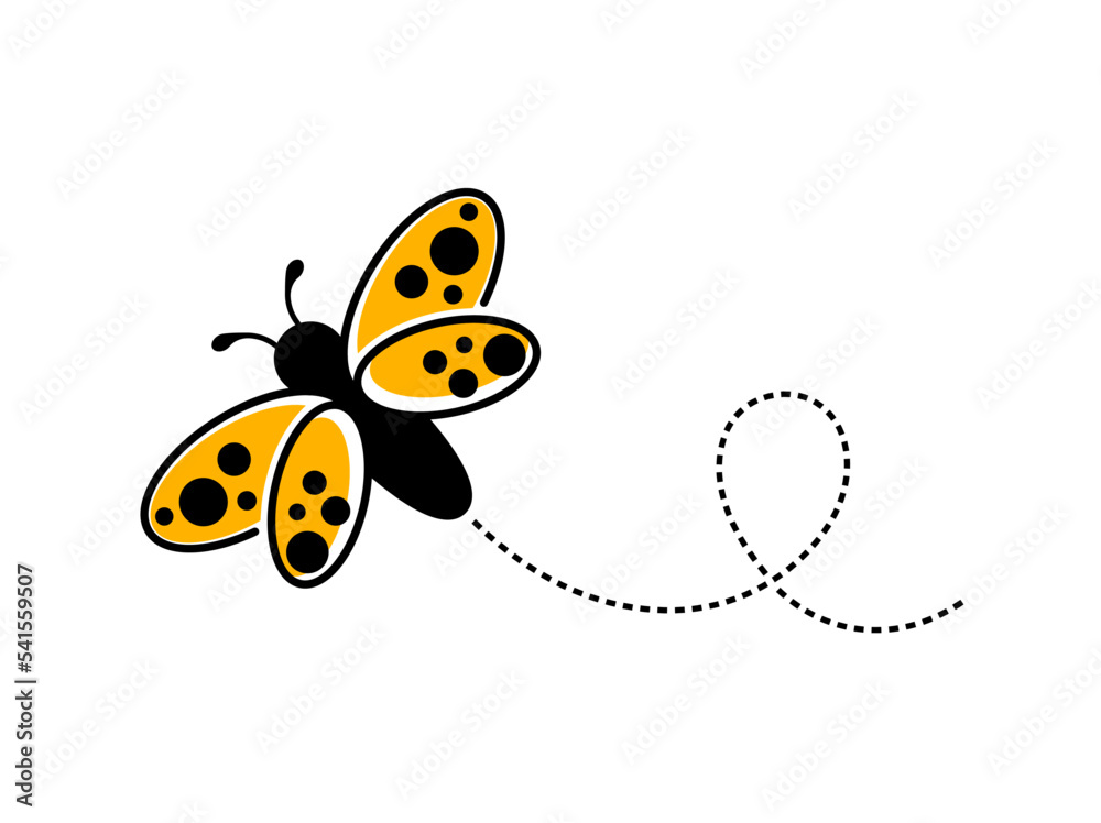 Fototapeta premium butterfly on white background