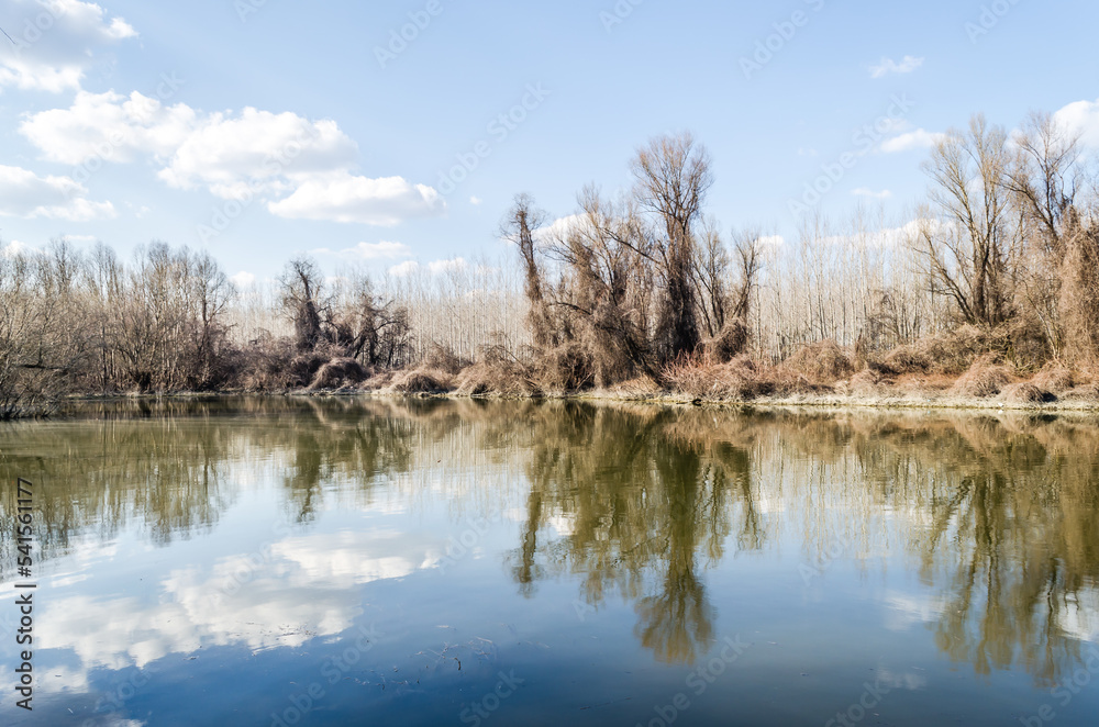 Swampy autumn, sunny landscape. A panoramic view of the marsh in the autumn sunny period of the day.