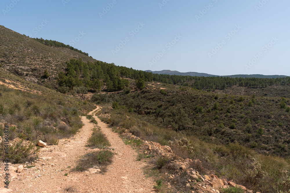 dirt road in the mountains of southern Andalusia