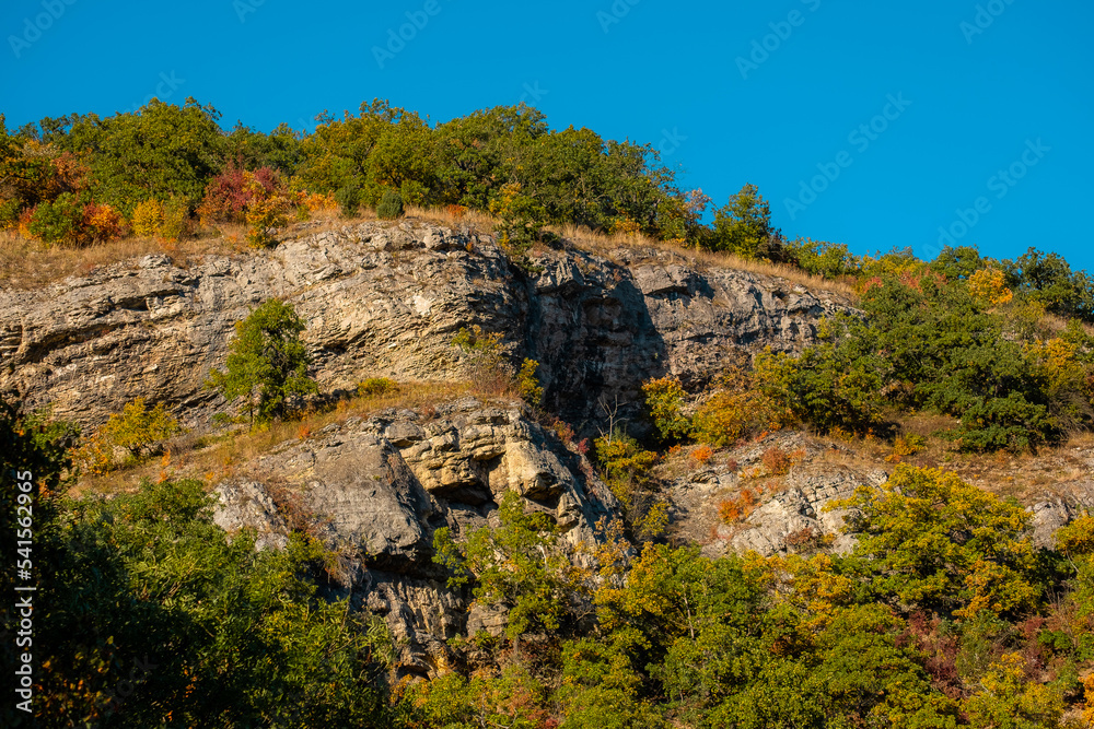 a rocky landscape with bushes on top of old quarry