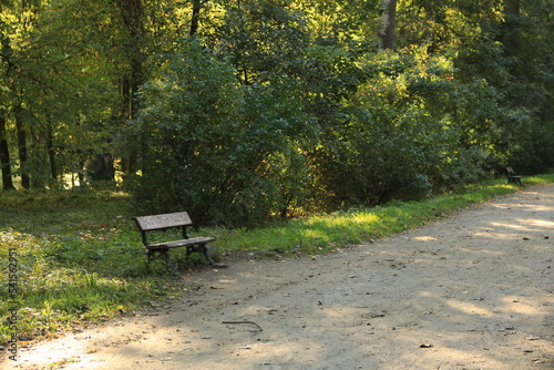Fototapeta Naklejka Na Ścianę i Meble -  Path in the forest in autumn