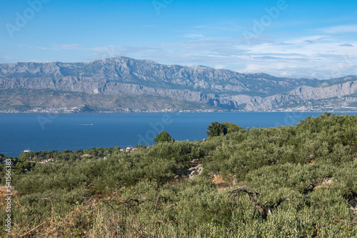 Beautiful Dinara mountain rising above croatian coastline, photographed from the olive plantation on Brac island, Croatia