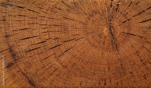 Wood textures background