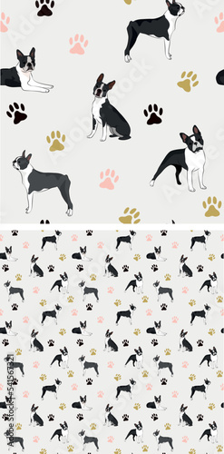 Seamless Boston Terrier dog pattern, holiday texture. Square format, t-shirt, poster, packaging, textile, socks, textile, fabric, decoration, wrapping paper. Trendy hand-drawn Boston Terrier dogs.
