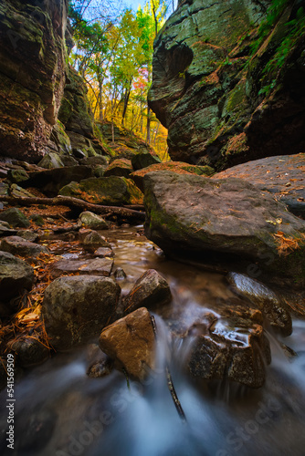 Parfrey's Glen State Natural Area