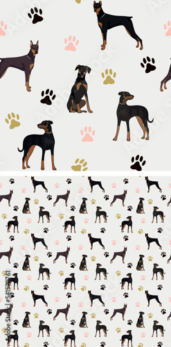 Seamless doberman dog pattern, holiday texture. Square format, t-shirt, poster, packaging, textile, socks, textile, fabric, decoration, wrapping paper. Trendy hand-drawn doberman dog wallpaper.
