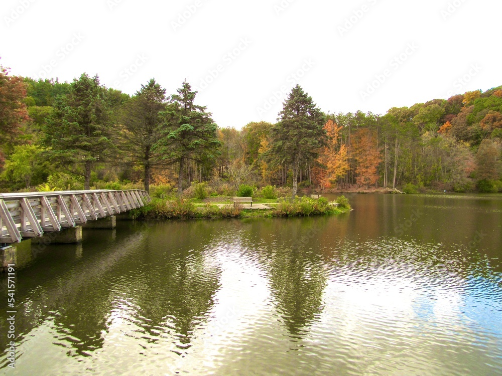 Marshall Lake reflections 