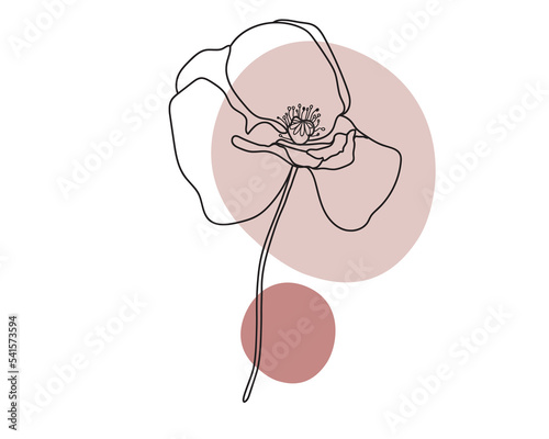 Poppy flower with shapes. Floral line art. Outline vector flowers. Wedding elegant continuous line drawing with shapes