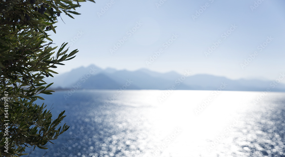 beautiful view from under the tree on the Mediterranean coast and the mountains and the ship sailing on the sea.High quality photo beautiful view from under the tree on the Mediterranean coast and the mountains and the ship sailing on the sea.High quality photo