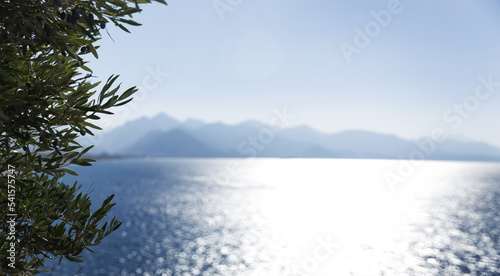 beautiful view from under the tree on the Mediterranean coast and the mountains and the ship sailing on the sea.High quality photo