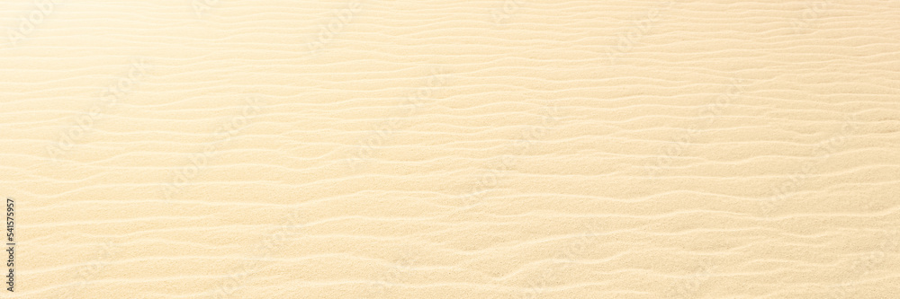 Close up on Beach Sand texture background for wallpaper and poster. Sandy beach. Side Top view. Long banner. Close up on Beach Sand texture background for wallpaper and poster. Sandy beach. Side Top view. Long banner.