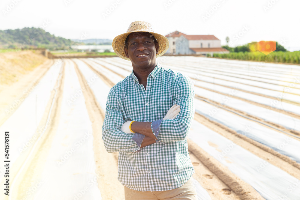 Smiling african american farmer standing against background of farm ...