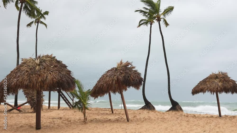 Tropical beach after storm. Fallen parasols made of palm leaves. Coconut trees swaying in the wind. Seashore after Macau typhoon Tropical beach after storm. Fallen parasols made of palm leaves. Coconut trees swaying in the wind. Seashore after Macau typhoon