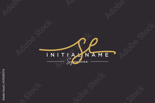 Initial SE signature logo template vector. Hand drawn Calligraphy lettering Vector illustration.