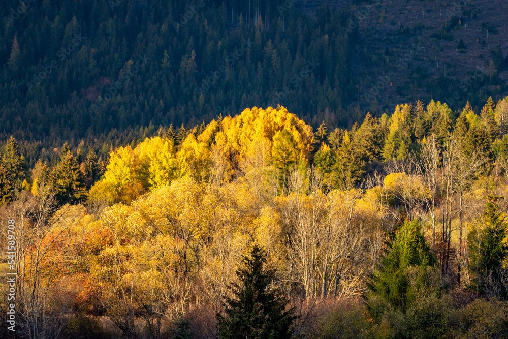 Fototapeta premium autumn in the mountains