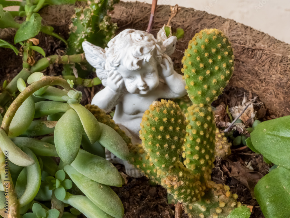 Little angel covering his ears on a potted plant. Cactus and succulents. Little angel covering his ears on a potted plant. Cactus and succulents.
