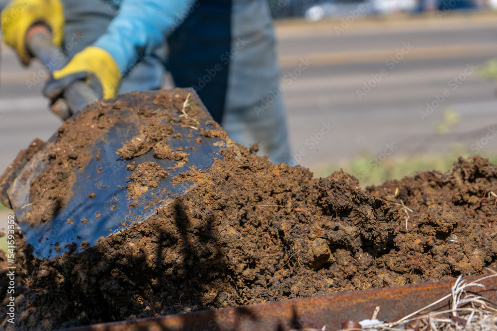 Naklejka premium Landscaping Landscaper Planting
