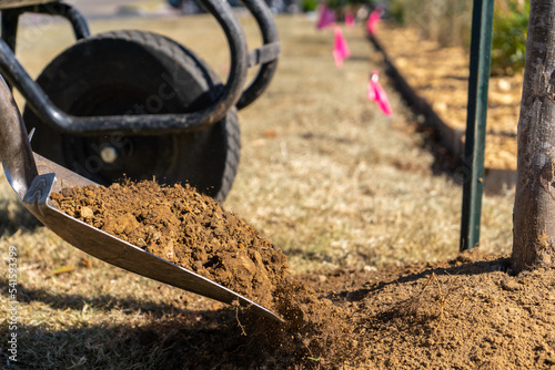 Wallpaper Mural Landscaping Landscaper Planting Torontodigital.ca