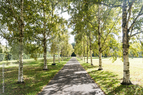 Fototapeta Naklejka Na Ścianę i Meble -  A footpath in park De Goffert (Goffertpark) in Nijmegen, Netherlands with trees on each side on a sunny afternoon in early autumn