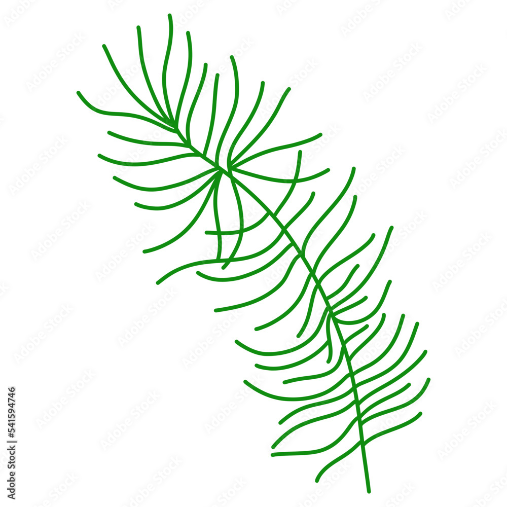 Christmas Pine leaf, Digital paint illustration Christmas Pine leaf, Digital paint illustration