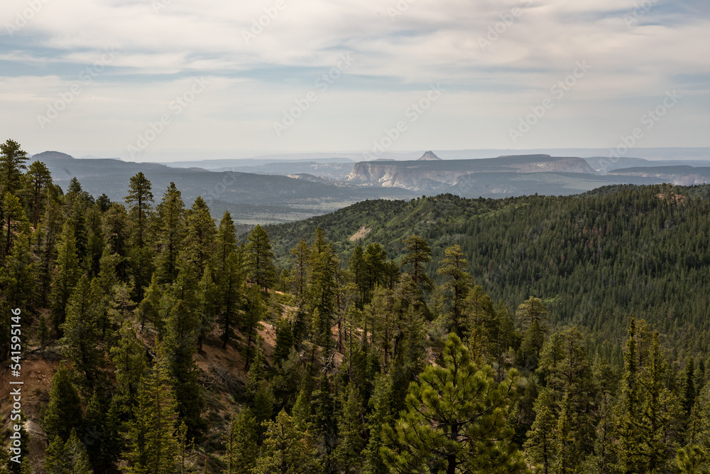 View South of Bryce Canyon From Riggs Spring Loop View South of Bryce Canyon From Riggs Spring Loop