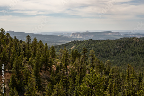 View South of Bryce Canyon From Riggs Spring Loop