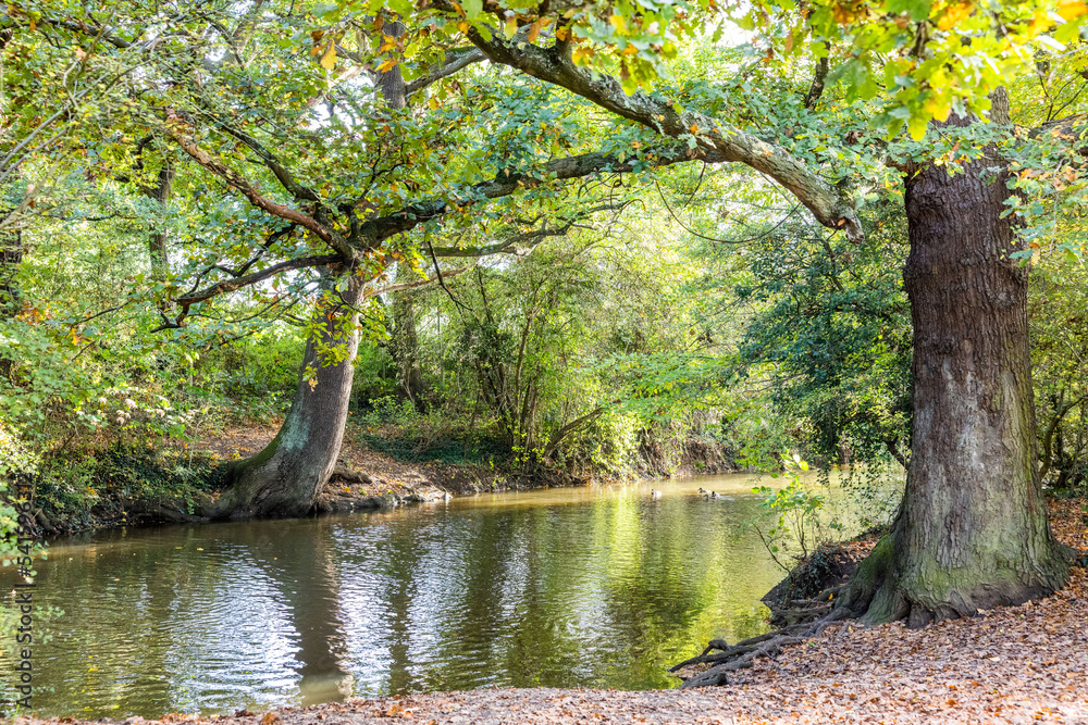 River Roding at Roding valley in Buckhurst Hill, UK River Roding at Roding valley in Buckhurst Hill, UK
