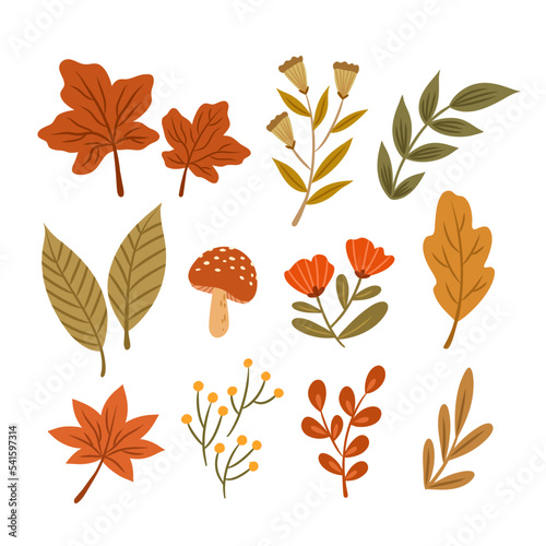 hand drawn autumn leaves collection