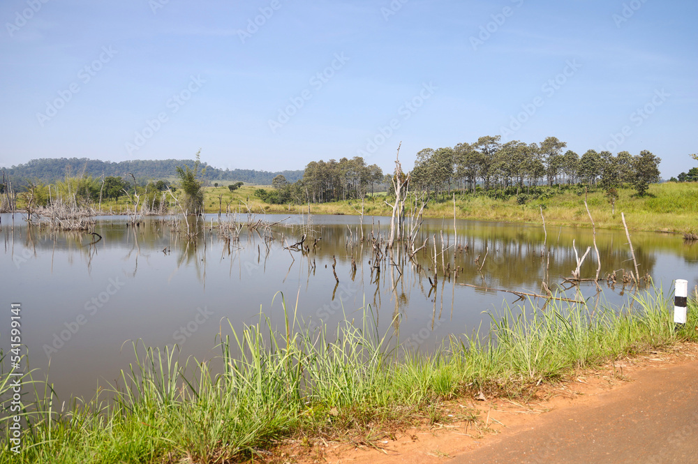 Small swamps  near the meadow with blue sky at Thung Salaeng Luang National Park, A famous local attraction in Thailand.