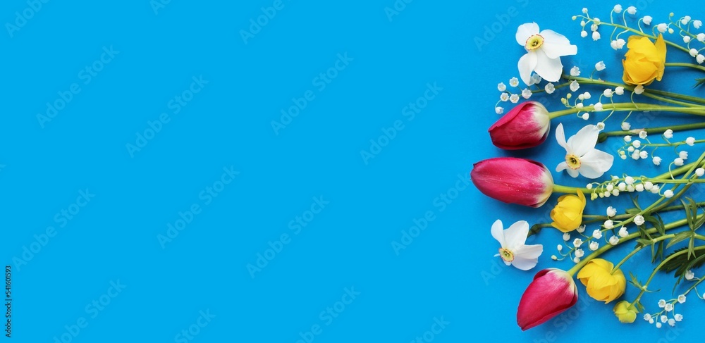 Obraz premium Tulips, daffodils and lilies of the valley on a blue background. Spring flower arrangement. The view from the top. Background for cards, greetings, invitations.